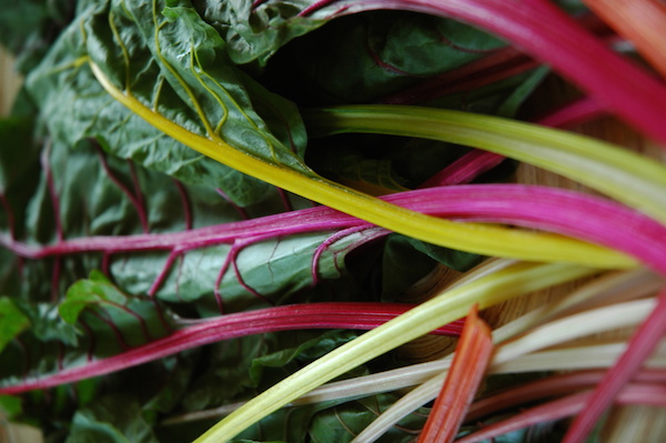 Beyond Spinach - 5 Greens To Perk You & Your Smoothies Up | RachaelRoehmholdt.com