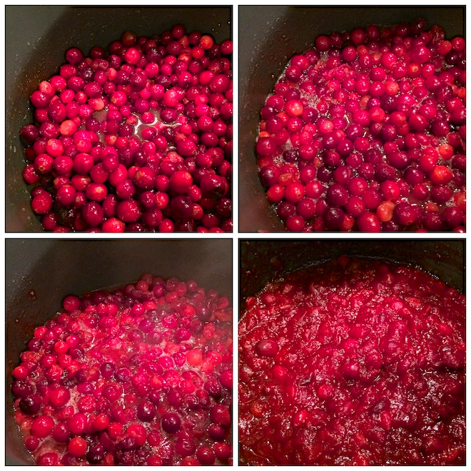 Refined Sugar-Free Cranberry Sauce | RachaelRoehmholdt.com