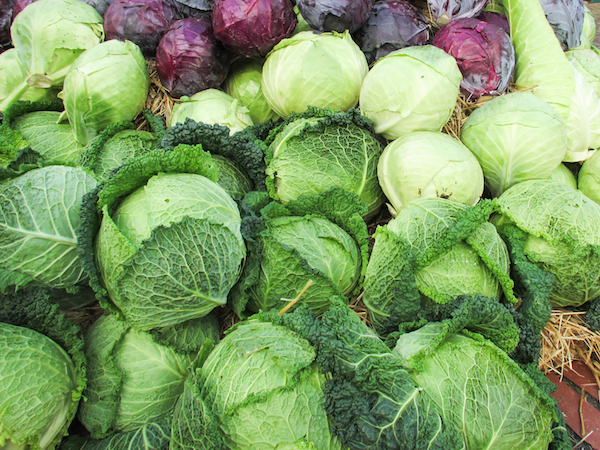 Beyond Spinach - 5 Greens To Perk You & Your Smoothies Up | RachaelRoehmholdt.com