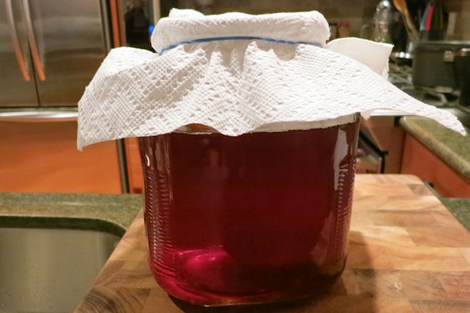 How To Brew Kombucha At Home | RachaelRoehmholdt.com