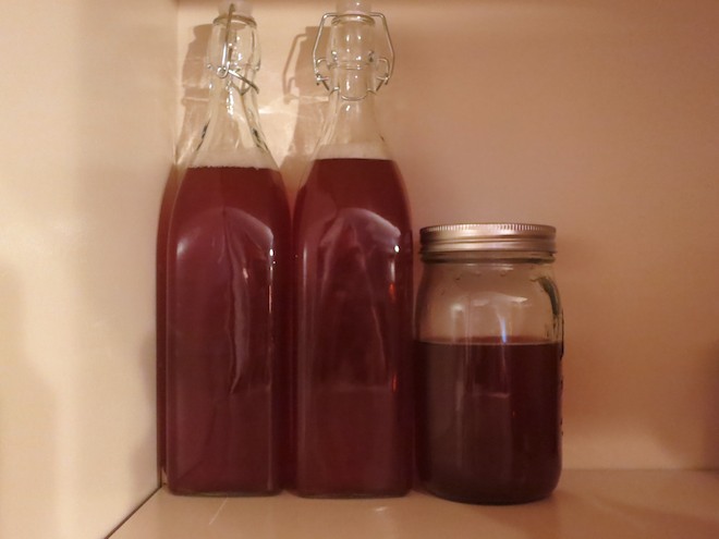 How To Brew Kombucha At Home | RachaelRoehmholdt.com