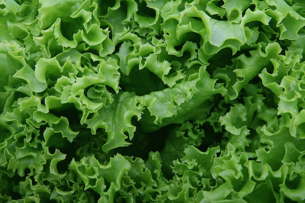 Beyond Spinach - 5 Greens To Perk You & Your Smoothies Up | RachaelRoehmholdt.com