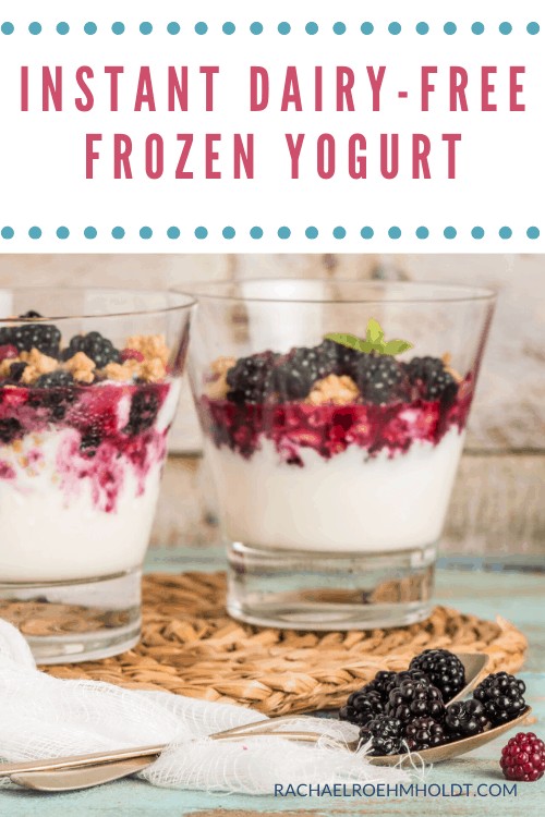 Dairy-free Frozen Yogurt