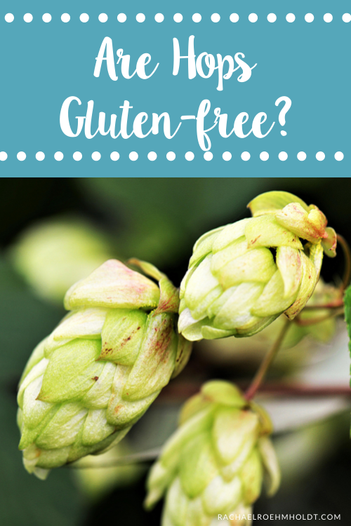 Are Hops Gluten free?