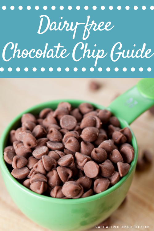 Dairy-free Chocolate Chip Guide