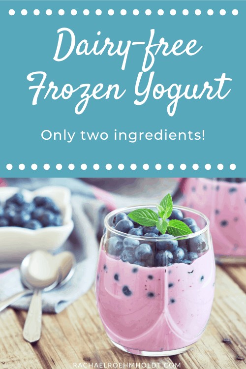 Dairy-free Frozen Yogurt