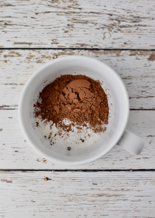 Gluten-free Chocolate Mug Cake (Dairy-free, Egg-free)