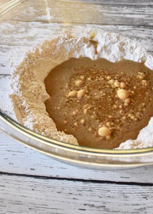 Gluten and Dairy-free Gingerbread Waffles