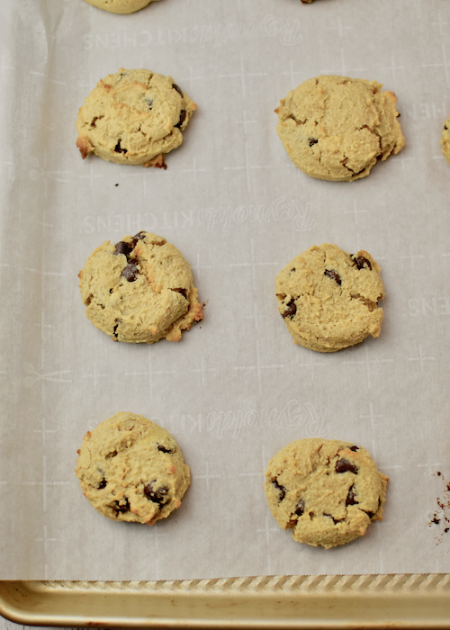 Gluten-free Pumpkin Chocolate Chip Cookies