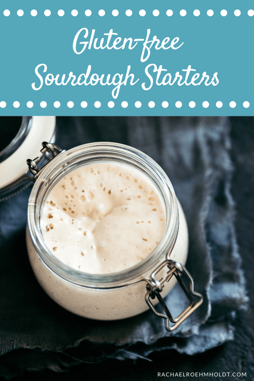 Gluten free Sourdough Starters