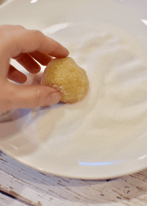 Gluten-free Sugar Cookies: roll the dough in sugar