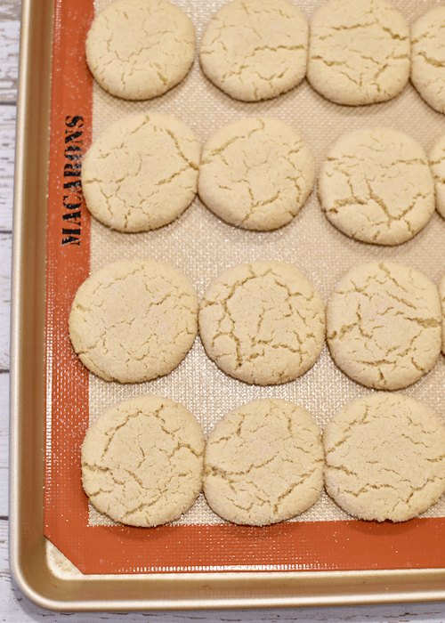 Gluten-free Sugar Cookies: transfer and bake
