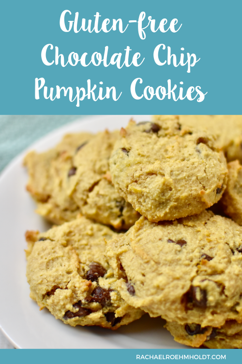 Gluten free pumpkin chocolate chip cookies