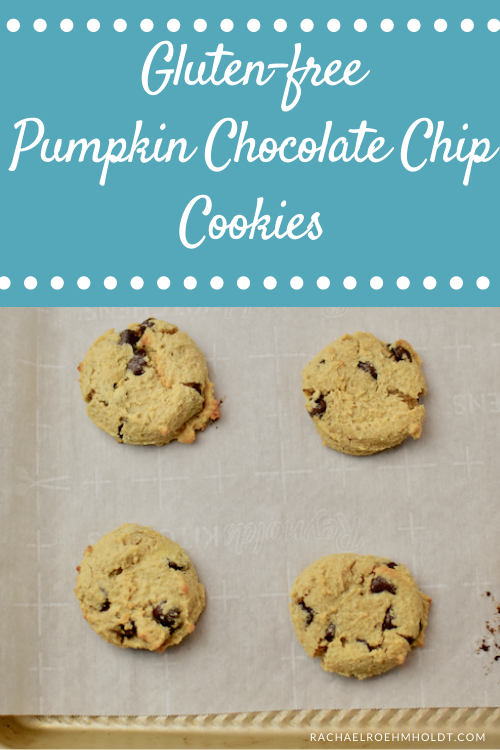 Gluten free pumpkin chocolate chip cookies