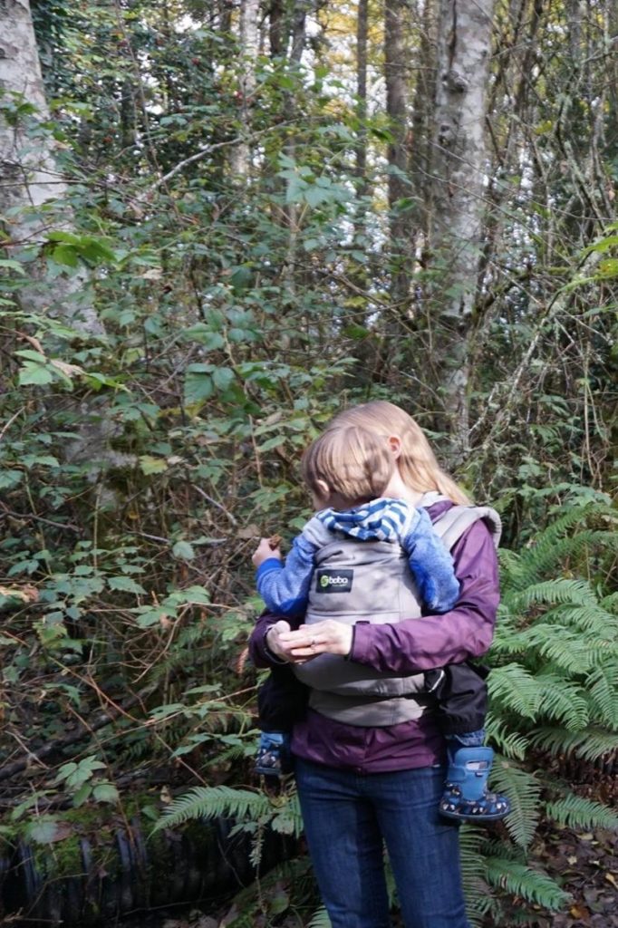 Hiking with a Boba 4g carrier