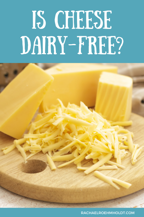 Is Cheese Dairy Free?