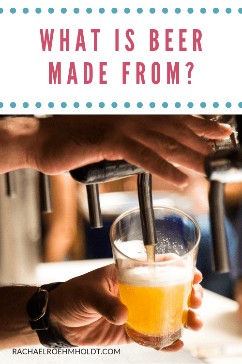 What is beer made from?