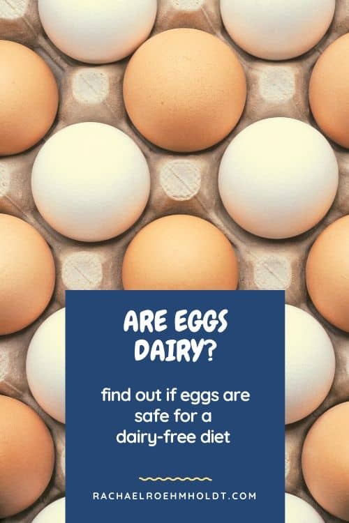 Are eggs dairy? Find out if eggs are safe for a dairy-free diet