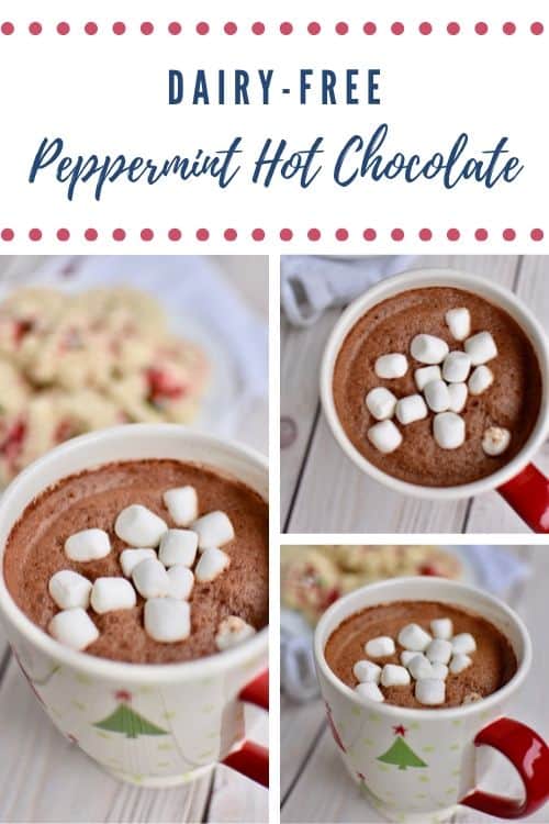 Dairy-free Peppermint Hot Chocolate