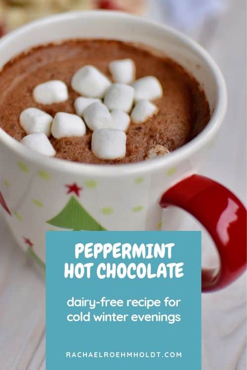 Dairy-free Peppermint Hot Chocolate