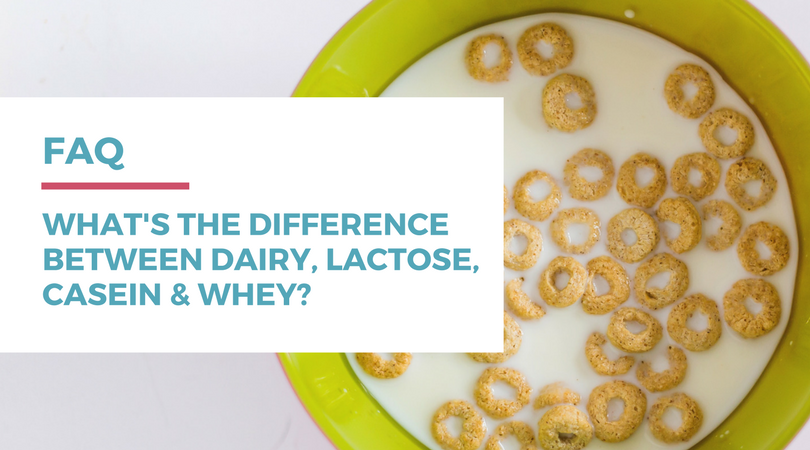 What's the difference between dairy, lactose, casein, and whey? Click through to find out on RachaelRoehmholdt.com