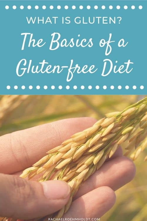 What is gluten? The Basics of a Gluten-free Diet